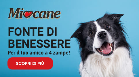 miocane