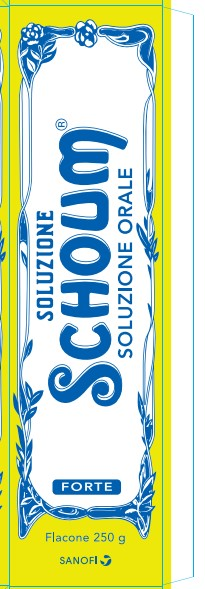 SOLUZIONE SCHOUM*FTE 250G - farmasconti.eu