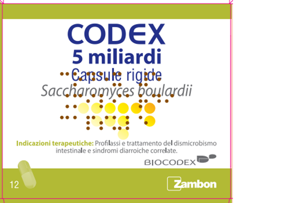CODEX*12CPS 5MLD 250MG - farmasconti.eu