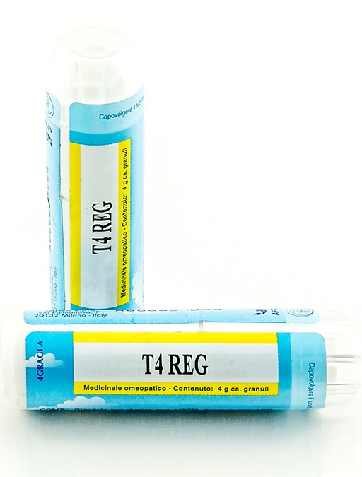 T4 REG GRANULI 4G - farmasconti.eu