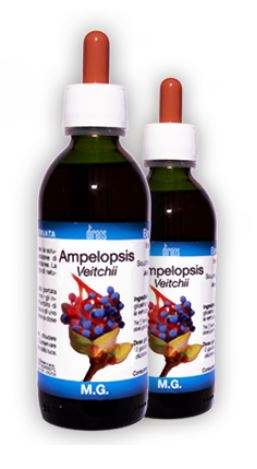 AMPELOPSIS VEITCHII MACERATO GLICERICO 50 ML - farmasconti.eu