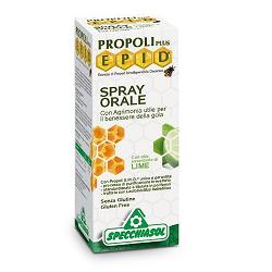 EPID SPRAY LIME 15 ML - farmasconti.eu