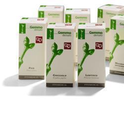 RIBES NERO MACERATO GLICERICO 200 ML - farmasconti.eu