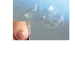 AMEDA CAPPELETTI SENO MEDIA 2 PEZZI - farmasconti.eu