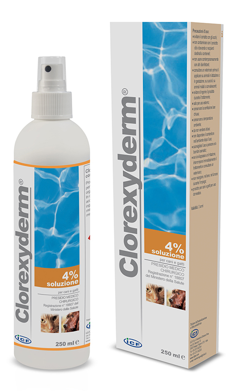 CLOREXYDERM SOLUZIONE 4% 250 ML - farmasconti.eu