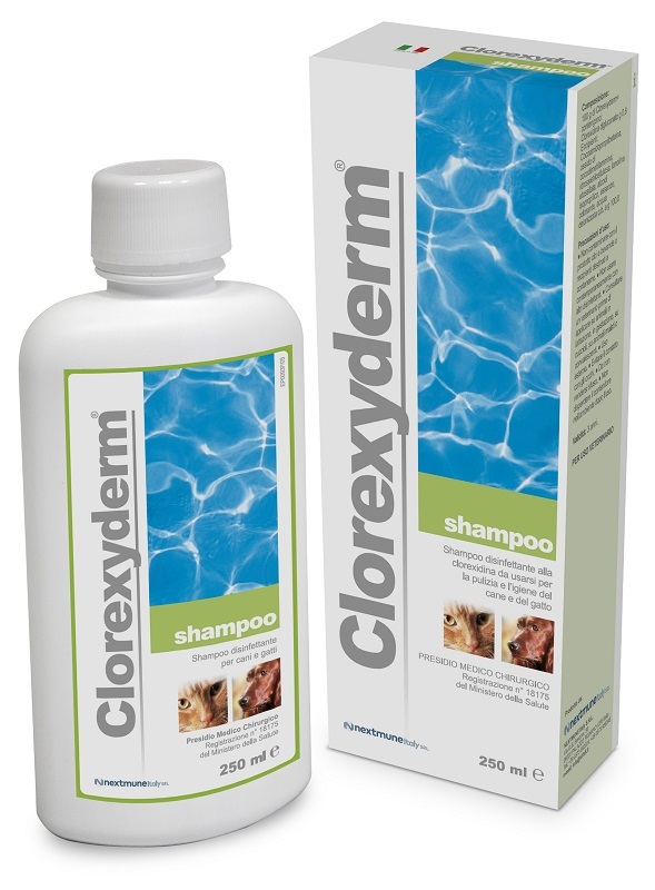 CLOREXYDERM SHAMPOO 250 ML - farmasconti.eu