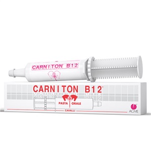 CARNITON B 12 PASTA SIRINGA 100 G - farmasconti.eu