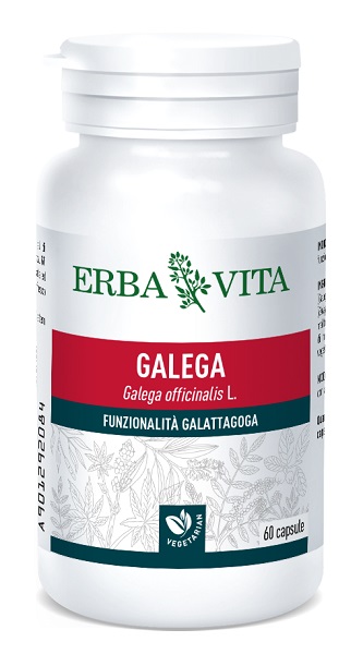 GALEGA 60 CAPSULE - farmasconti.eu