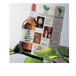CARPINO 100 ML MACERATO GLICERICO - farmasconti.eu