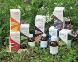 RAEMIL CARCIOFO COMPOSTO 25 ML - farmasconti.eu