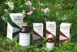 RAEMIL ROSMARINO OLIO 25 ML - farmasconti.eu