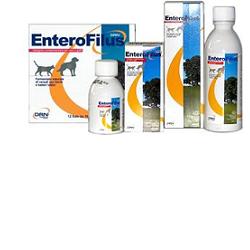 ENTEROFILUS 12 X 10 ML - farmasconti.eu