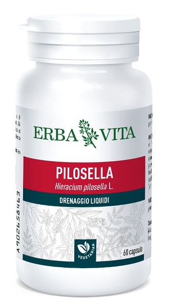 PILOSELLA 60 CAPSULE 400 MG - farmasconti.eu