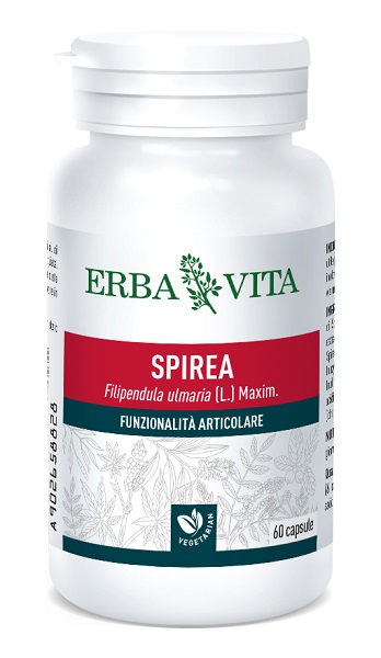 SPIREA ULMARIA 60 CAPSULE 400 MG - farmasconti.eu