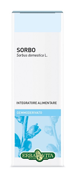 GEMMODERIVATO SORBO 50 ML - farmasconti.eu