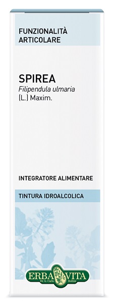 SPIREA ULMARIA TINTURA IDROALCOLICA 50 ML EBV - farmasconti.eu