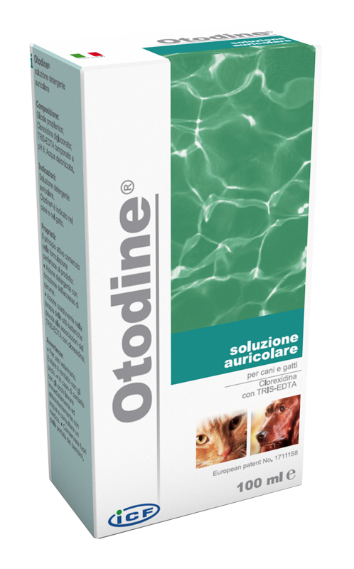 OTODINE DETERGENTE LIQUIDO 100 ML - farmasconti.eu