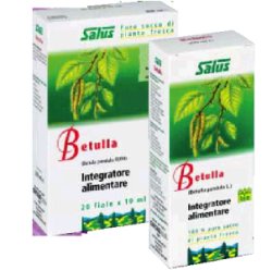 BETULLA SUCCO 200ML BIO - farmasconti.eu