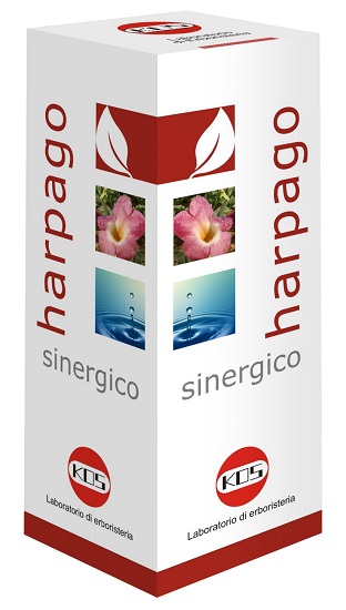 HARPAGO SINERGICO GOCCE 100 ML - farmasconti.eu