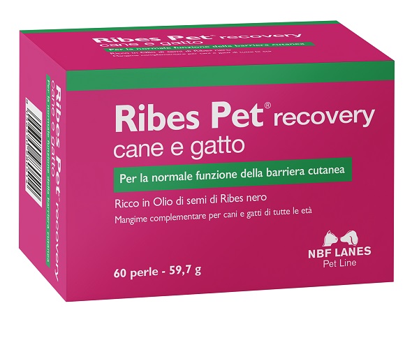 RIBES PET RECOVERY BLISTER 60 PERLE - farmasconti.eu