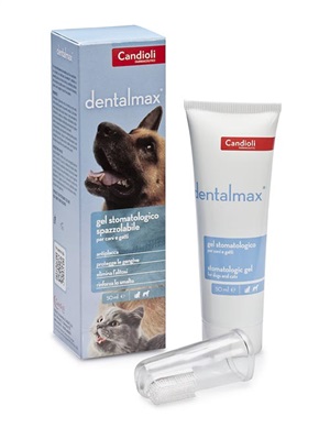 DENTALMAX GEL STOMATOLOGICO 50 ML - farmasconti.eu