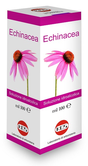 ECHINACEA SOLUZIONE IDROALCOLICA PIANTA FRESCA 100 ML - farmasconti.eu