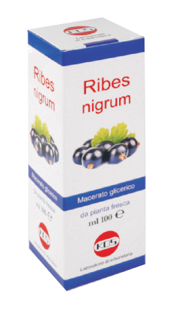 RIBES NIGRUM MACERATO GLICERICO 100 ML GOCCE - farmasconti.eu