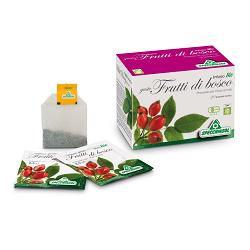 INFUSO BIO FRUTTA FRUTTI DI BOSCO 20 FILTRI - farmasconti.eu