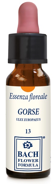 GORSE ORIGINAL GOCCE 10 ML - farmasconti.eu