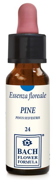 PINE ORIGINAL GOCCE 10 ML - farmasconti.eu