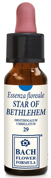 STAR OF BETHLEHEM 10 ML GOCCE - farmasconti.eu
