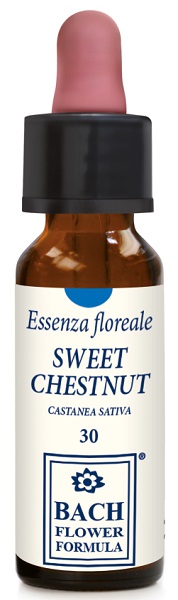 SWEET CHESTNUT ORIGINAL 10 ML - farmasconti.eu