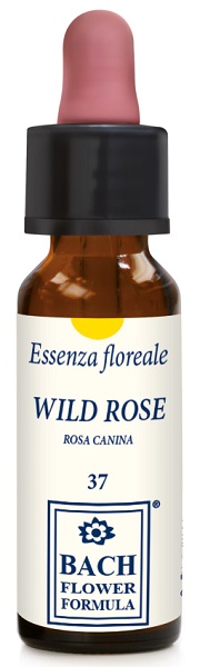 WILD ROSE ORIGINAL GOCCE 10 ML - farmasconti.eu