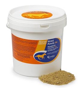 HORSE POWER 100 4KG - farmasconti.eu