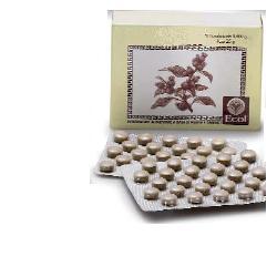 CIMICIFUGA 50 TAVOLETTE 500 MG - farmasconti.eu
