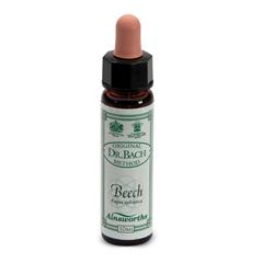 AINSWORTHS BEECH 10ML - farmasconti.eu