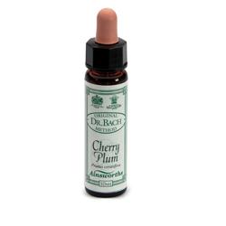 AINSWORTHS CHERRY PLUM 10ML - farmasconti.eu