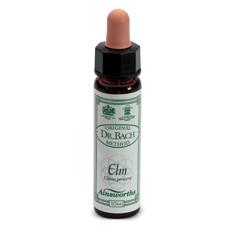AINSWORTHS ELM 10ML - farmasconti.eu