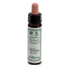 AINSWORTHS WILLOW 10ML - farmasconti.eu