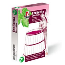 ENOLIEVITO CERVISIAE 100 G - farmasconti.eu