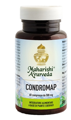 CONDROMAP 60 COMPRESSE - farmasconti.eu