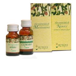 ROSMARINO OLIO ESSENZIALE 10 ML - farmasconti.eu