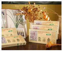 SILYBUM MAR COMP 12F STV - farmasconti.eu