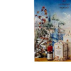 CALENDULA OLIO 100ML - farmasconti.eu