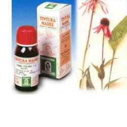 ECHINACEA 59 50ML TM - farmasconti.eu