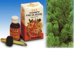 PINO SILVESTRE OLIO ESSENZIALE PURO 10 ML - farmasconti.eu