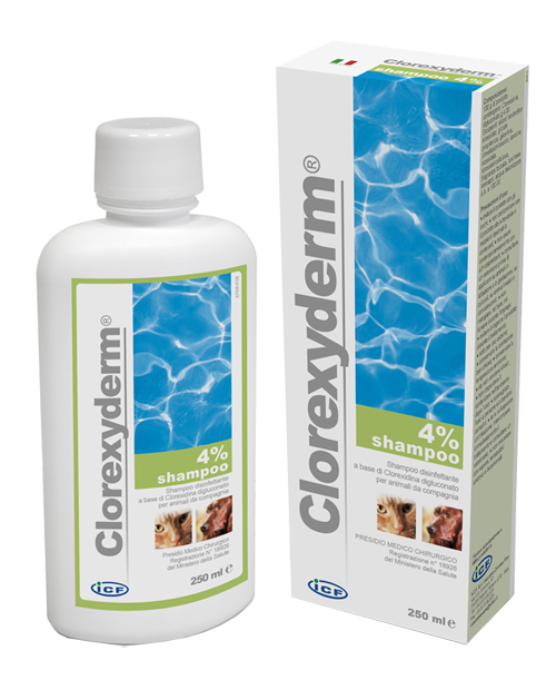 CLOREXYDERM SHAMPOO 4% 250 ML - farmasconti.eu