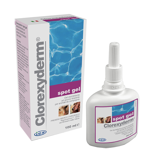 CLOREXYDERM SPOT GEL 100 ML - farmasconti.eu