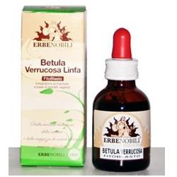 FITOBLASTO BETULLA VERRUCOSA LINFA 50 ML - farmasconti.eu