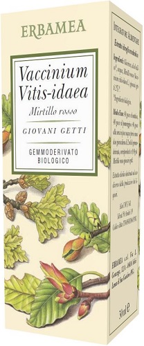 VACCINIUM VITIS IDAEA MIRTILLO ROSSO BIO 50 ML - farmasconti.eu